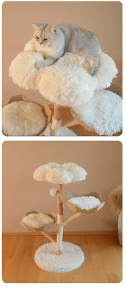 Natural Fruit Climbing Tree For Cat