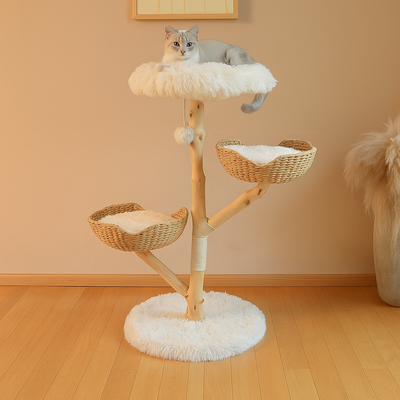 Natural Fruit Climbing Tree For Cat