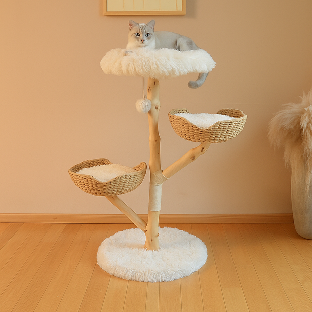 Natural Fruit Climbing Tree For Cat